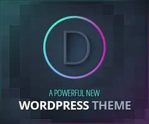 Divi WordPress theme and page builder
