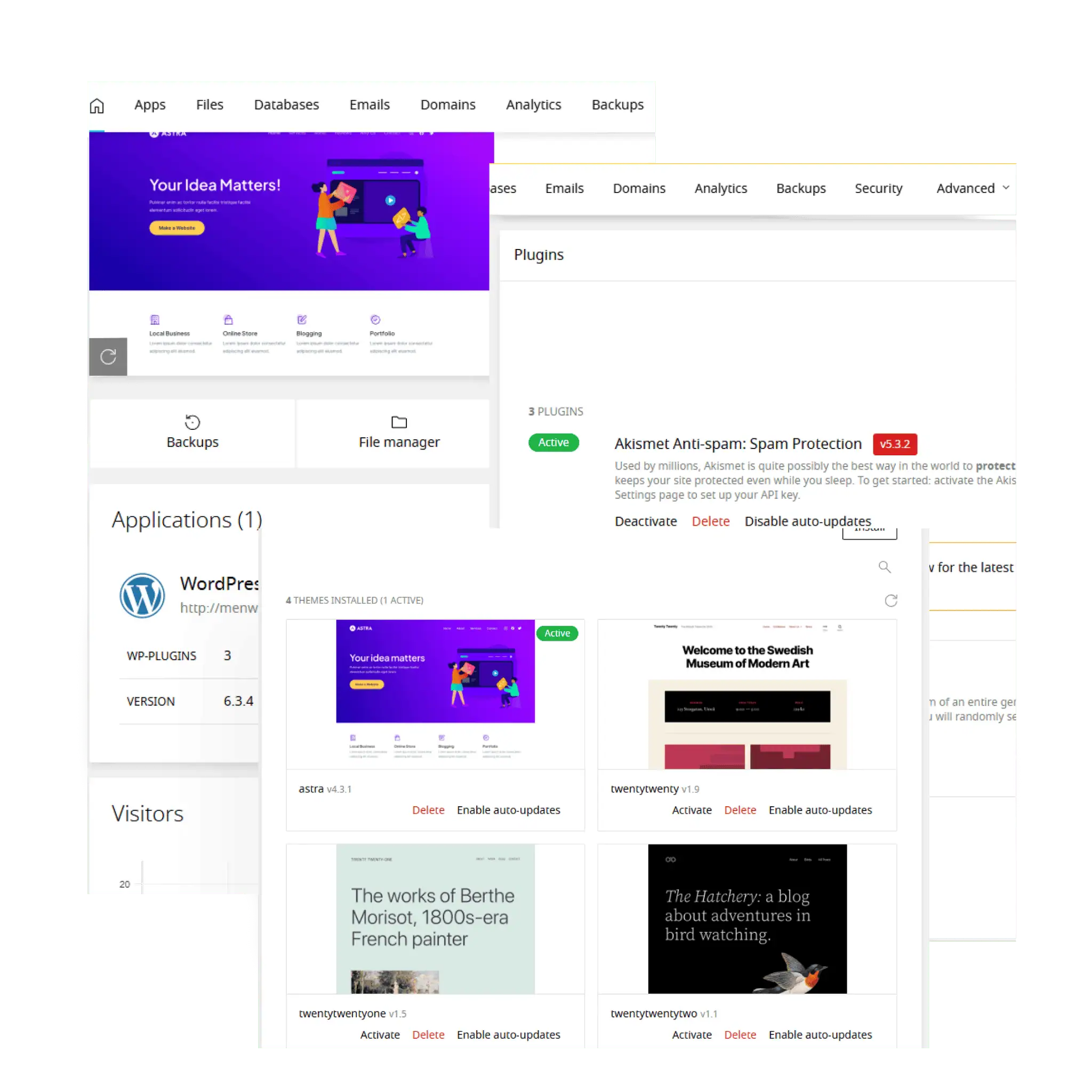 The WordPress Toolkit in the Enhance control panel, showing plugins and themes